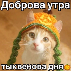 Доброва утра — стикер для MAX