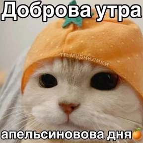 Доброва утра — стикер для MAX