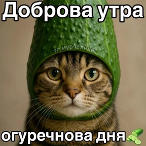 Доброва утра — стикер для MAX