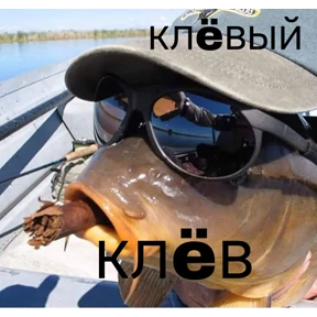 Локально — стикер для MAX