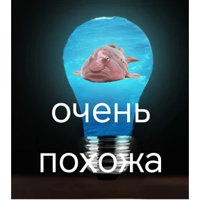 Локально — стикер для MAX
