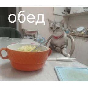 Локально — стикер для MAX