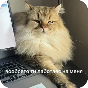 Булосьная полисия — стикер для MAX