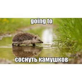 чюпеп — стикер для MAX