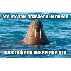 чюпеп — стикер для MAX