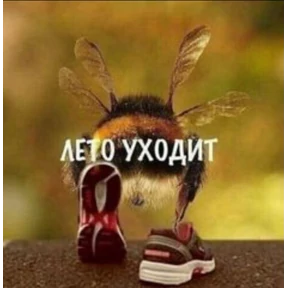 чюпеп — стикер для MAX
