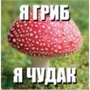 чюпеп — стикер для MAX