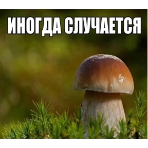 чюпеп — стикер для MAX