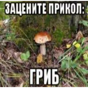 чюпеп — стикер для MAX