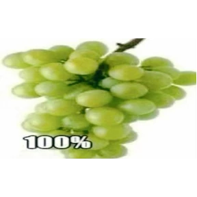 чюпеп — стикер для MAX