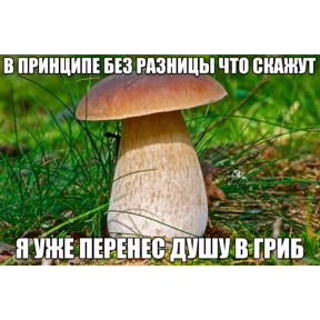 чюпеп — стикер для MAX