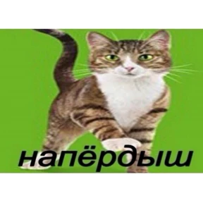 чюпеп — стикер для MAX