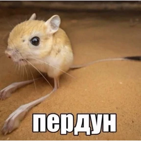 чюпеп — стикер для MAX