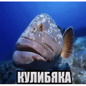 чюпеп — стикер для MAX