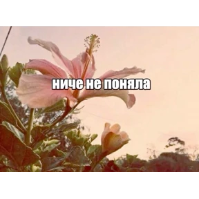 чюпеп — стикер для MAX
