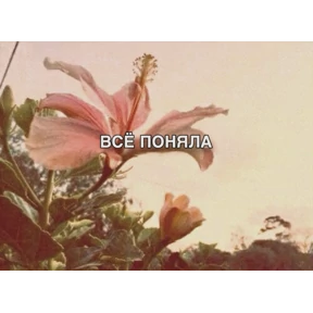 чюпеп — стикер для MAX