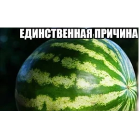 чюпеп — стикер для MAX