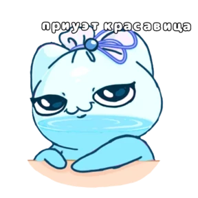 Твой котик — стикер для MAX