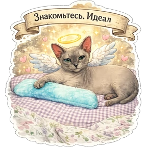 Котики Федоськи — стикер для MAX