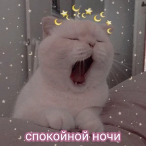 Набор — стикер для MAX