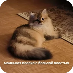 Булосьная полисия — стикер для MAX