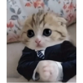 котики-маркотики — стикер для MAX