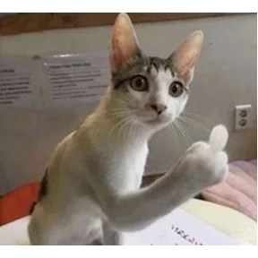 котики-маркотики — стикер для MAX