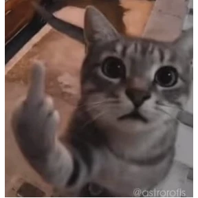 котики-маркотики — стикер для MAX
