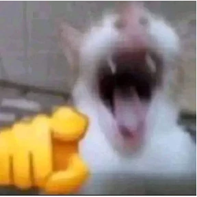 котики-маркотики — стикер для MAX