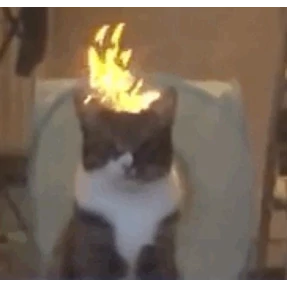 котики-маркотики — стикер для MAX