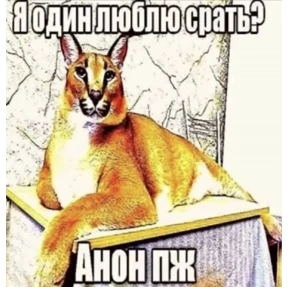 АААА ДНЕВНИКИ — стикер для MAX