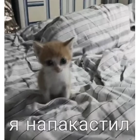Имба — стикер для MAX