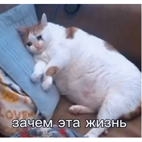 Имба — стикер для MAX