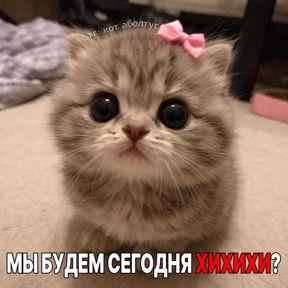 Стрипули — стикер для MAX