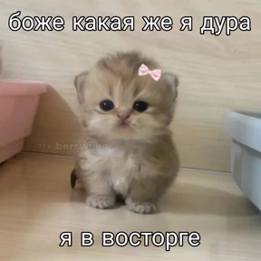 Стрипули — стикер для MAX
