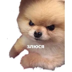 Stiker-like — стикер для MAX
