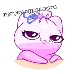 Твой котик — стикер для MAX