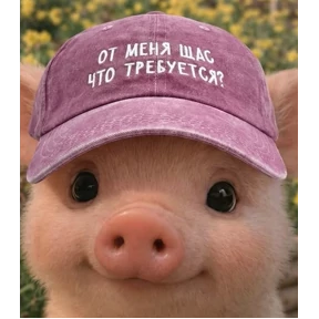 Мы — стикер для MAX