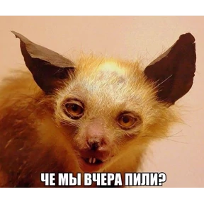 Мем — стикер для MAX