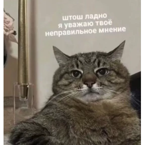 Мем — стикер для MAX