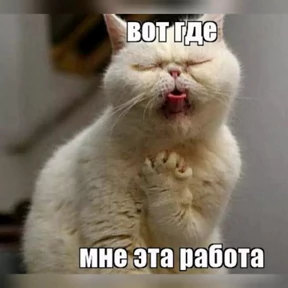 Мем — стикер для MAX