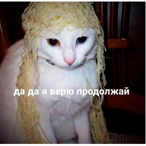 Мем — стикер для MAX