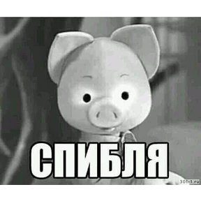Мем — стикер для MAX