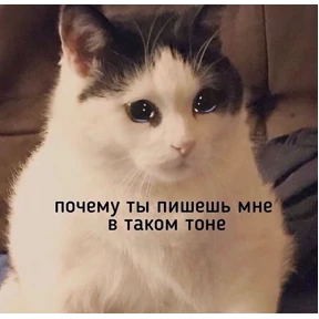 Мем — стикер для MAX