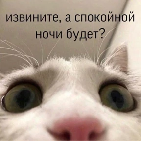 Мем — стикер для MAX