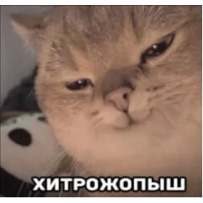 Мем — стикер для MAX