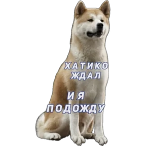 Эмоции , вопросы Лена — стикер для MAX