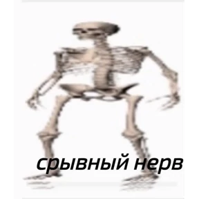 Скиторы — стикер для MAX