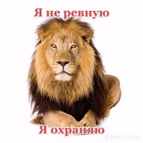 Анечки — стикер для MAX