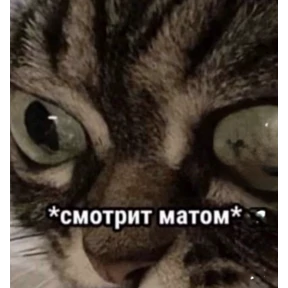 Скиторы — стикер для MAX
